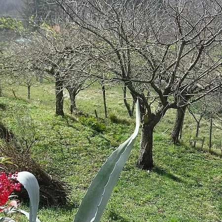 A Casa Di Marilu * Fosdinovo