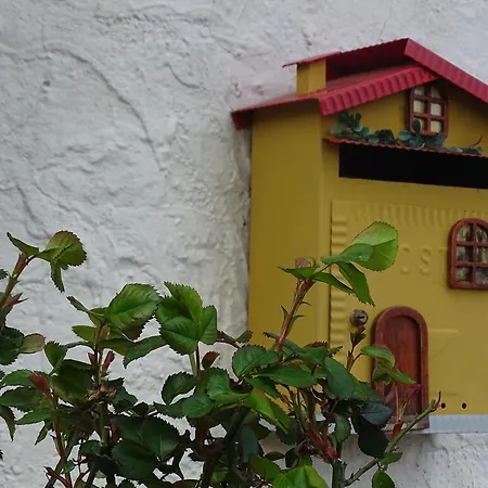 Bed & Breakfast A Casa Di Marilu *